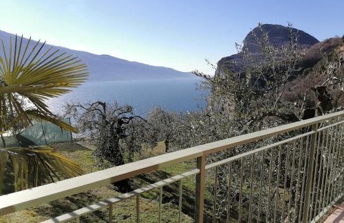 Arias House | Casetta delle olive