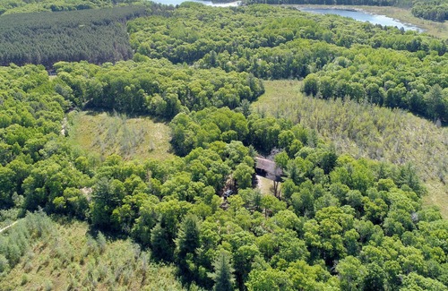 Spooner Cabin | Casey Lodge- cozy cabin nestled on 13 wooded acres