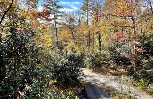 Cashiers Cottage | Cashiers Cottage - central location, 5 min to downtown, dog-friendly