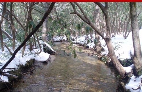 Sapphire Cottage | Cashiers - Lonesome Valley - Streamside Cottage nestled in 800 acre valley.