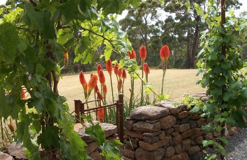 Basalt House | Casina Marcella - country house
