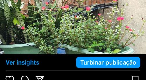 Rocinha House | Casinha da Arte