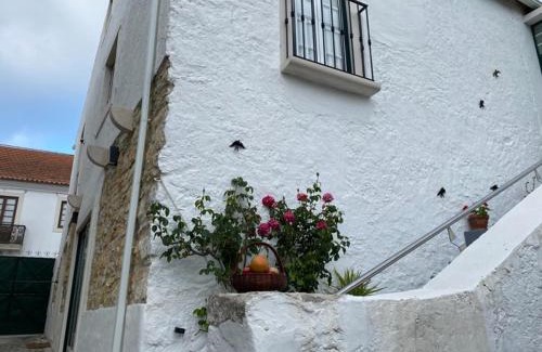 Juncal Apartment | Casinha da Avó Rosário