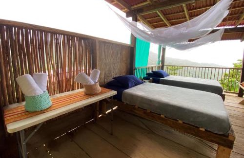 Palomino Cabin | Casinha da Floresta