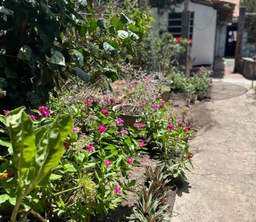 Tutoia House | Casinha da vovó