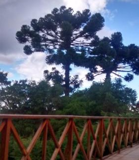 Recanto Araucaria House | casinha linda campos do jordão
