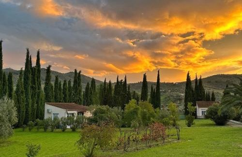 Olvera House | Casita Cacahuete