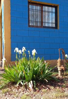 Cosquin Apartment | Casita de Colores