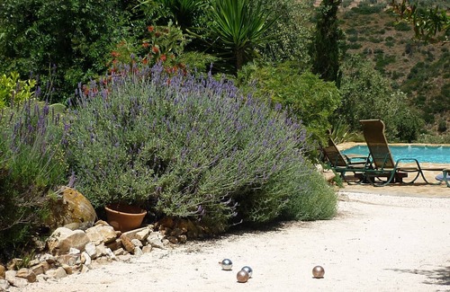 Iznajar Cottage | Casita Perdiz at Cortijo las Rosas - Peace & Tranquility in the Olive Groves