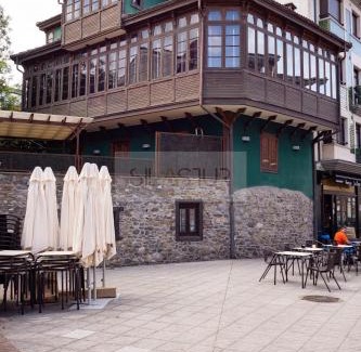 Pola de Lena House | Casona de Lila