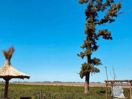 Partido de San Nicolas House | Casona Doña Emilia