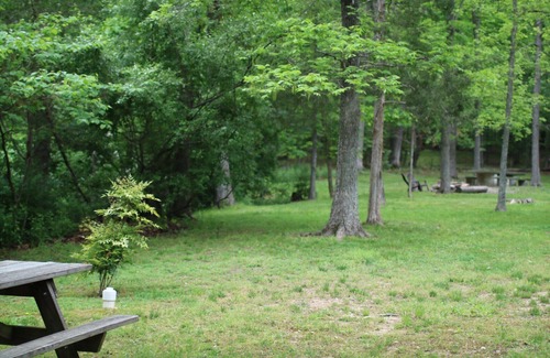 Luray Cabin | Cast Away Cabin