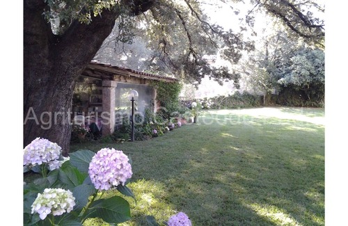 Padru Other | CASTEDDU FARMHOUSE - CAMILLA ROOM