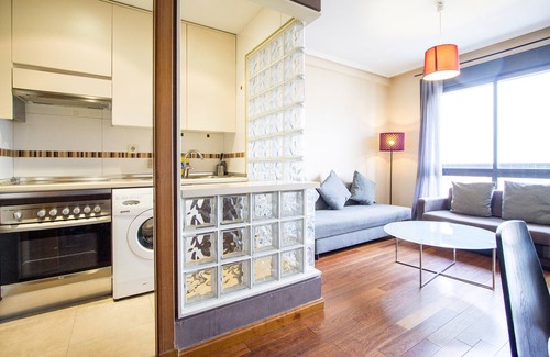 Castillejos Apartment | CASTELLANA PARKING 1 BEDROOM - 02