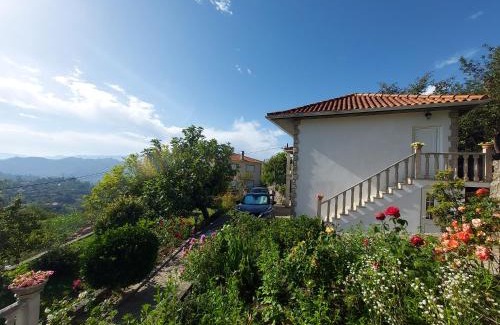 Sao Tiaguinho House | Castelo dos Sonhos