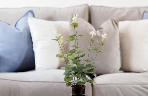 Lewes House | Castle Bank Terrace By The Butler Collection