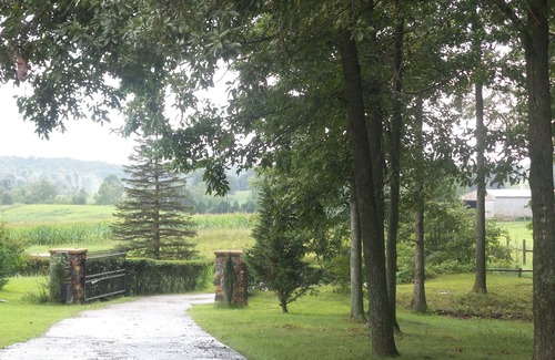 Rineyville House | Castle Hill Haven Estate/family-friendly retreat by Sports Park/KY attractions
