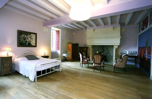 Soulignonne House | Castle: Royan (30 min), luxury, calm and pleasure, France Castle