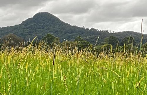 Mullumbimby Apartment | Casual comfort in Byron Shire