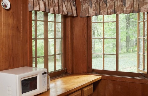 Baldwin House | Casual cozy Baldwin River 3 Bedroom Cabin. Fish on site, ATV, Canoe nearby.