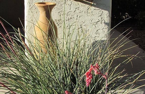 Tucson House | Casual, Elegant Patio Townhouse - Very Special!