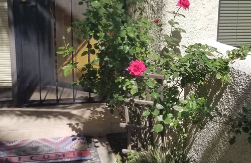 Tucson House | Casual, Elegant Patio Townhouse - Very Special!