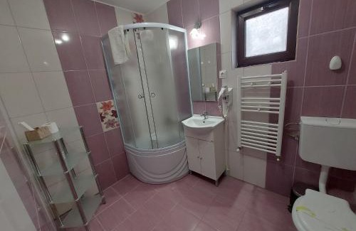 Slanic House | Casuta cu Trandafiri