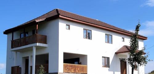 Balta House | Casuta de la Munte