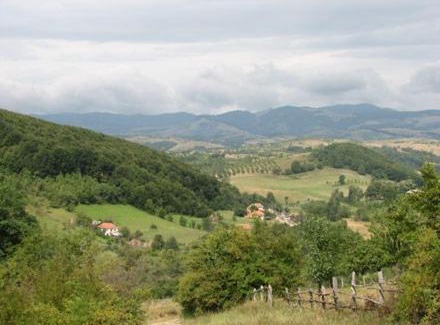 Balta House | Casuta de la Munte