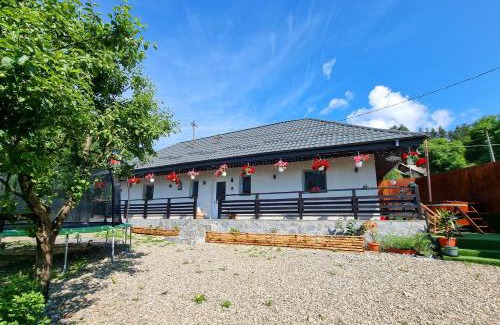 Poiana Teiului House | Casuta de Vacanta Poiana
