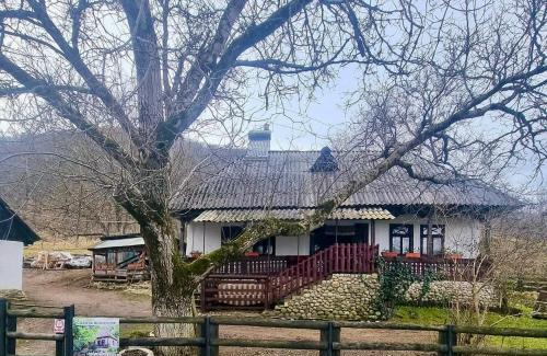 Tirgu Lapus House | Casuta Fermecata, Tara Lapusului