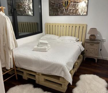 Oestii Paminteni Ski Chalet | Casuta Nest