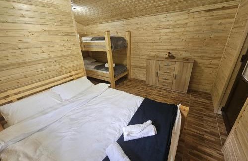 Hunedoara Other | Casute la "Doi pasi de Castel"