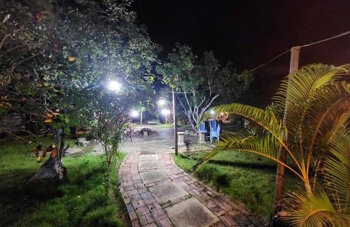 Cat Hai Boat Rental | Cat Ba Serena Homestay And Swimming Pool