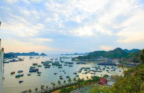 Cat Hai Hotel | Cat Ba-Thao Minh New Star Hotel