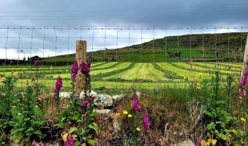 Newry House | Cathleen's Cottage