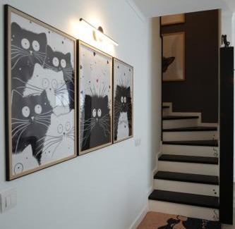 Sao Goncalo Apartment | CatMandu Oldstation