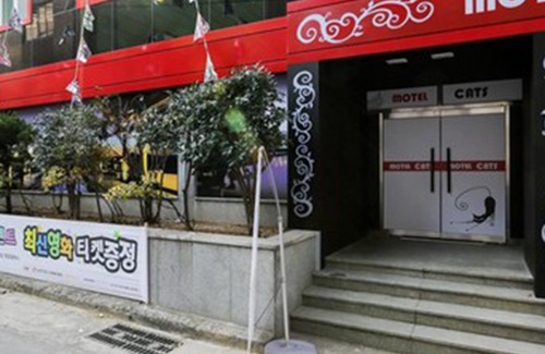 Buk-gu Hotel | Cats Motel (Gupo Branch) Busan