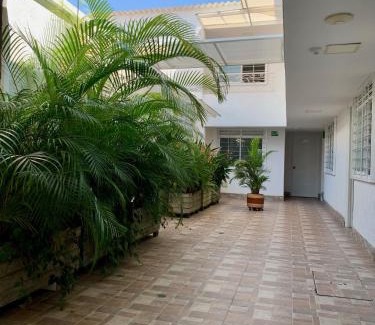 Campestre Apartment | Cavas AP