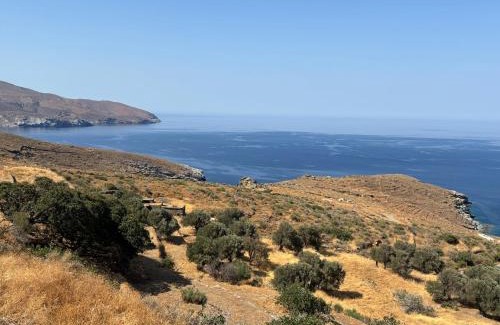 Andros Town Apartment | Cavo Levante