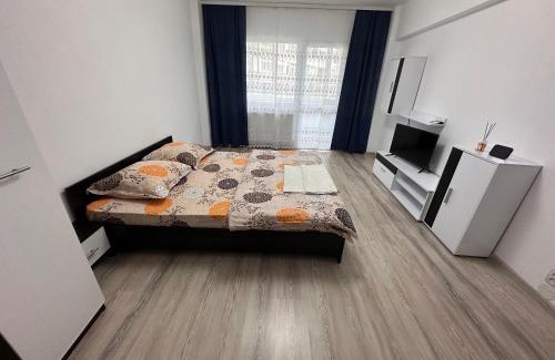 Baile Herculane Apartment | Cazare Herculane