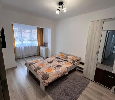 Baile Herculane Apartment | Cazare Herculane