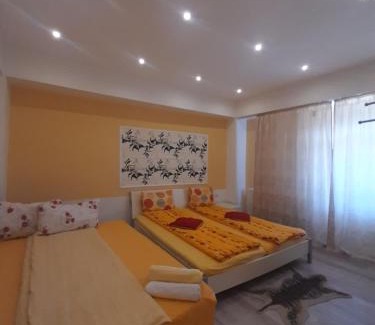 Hateg House | CAZARE LA ESPAÑOLA