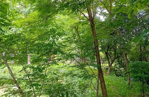 Malaiesti Cabin | Cazare La Oana