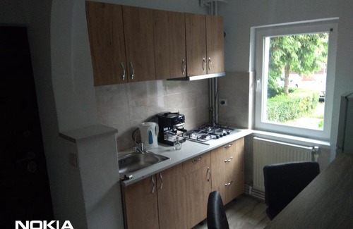 Emanoil Gojdu Apartment | Cazare