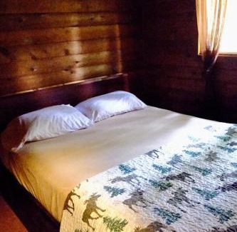 Ashford Apartment | Cedar at Rainier Lodge (0.4 m from Mt.Rainier)