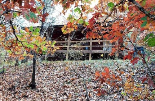 Eureka Springs House | Cedar Creek Cabins #4 with Giant Spa Tub