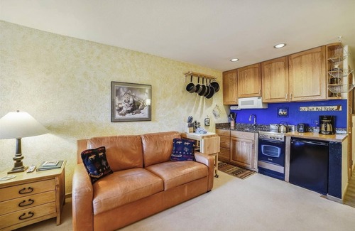 Frisco Condo | Cedar Lodge 309 Studio Bedroom Condo by RedAwning