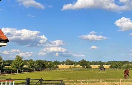 Attleborough House | Cedar Lodge
