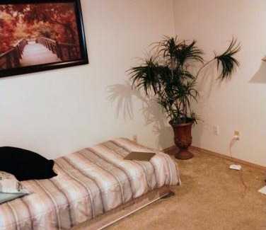 Renton House | Cedar River Home Away From Home